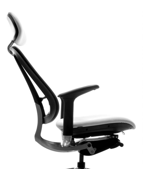 Zoom Ergonomic Office Chairs Benithem Frontier